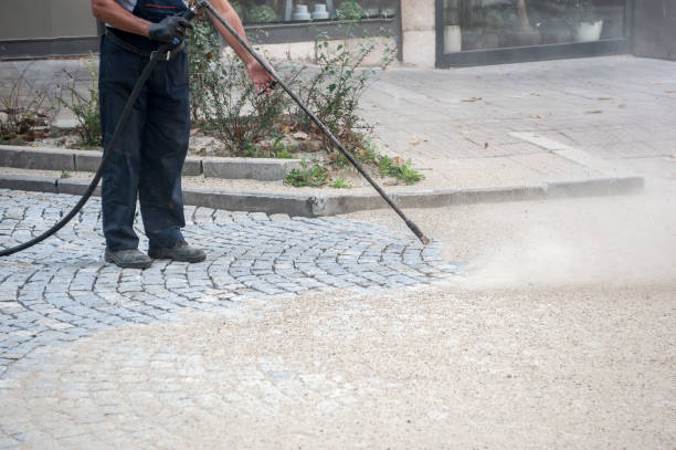 Best Fence Cleaning  in Shrub Oak, NY